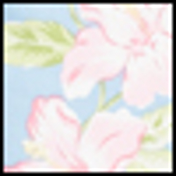 Pastel Floral