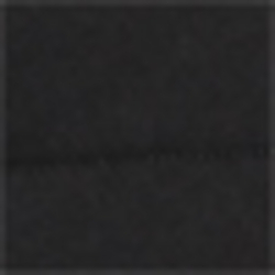 Polo Black