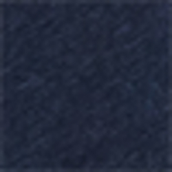 Dark Indigo