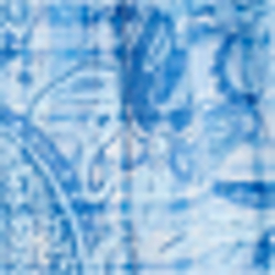 Paisley Madras Blue