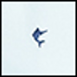 Acadia Blue/White