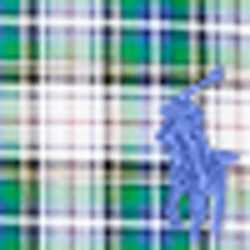 Green/Blue Multi