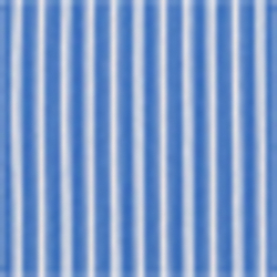 Regal Blue/White