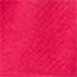 Hibiscus Pink