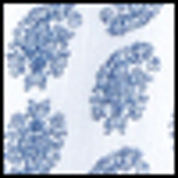 Blue Paisley