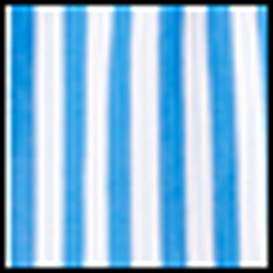 Blue/White