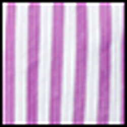 Purple/White