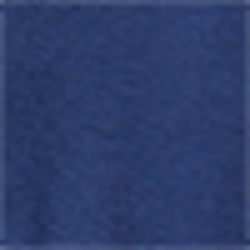 Spring Navy