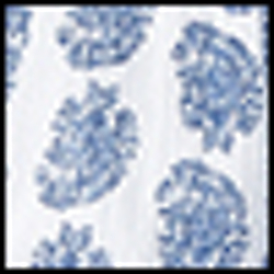 Blue Paisley
