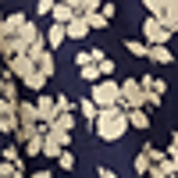 Blue/Cream