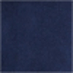 Spring Navy