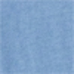 Campus Blue