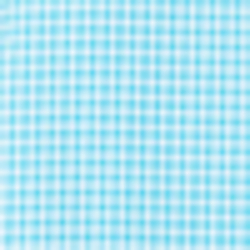 Blue/White