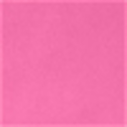 Blaze Fuchsia