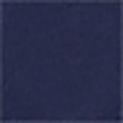 French Navy