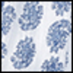 Blue Paisley