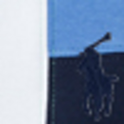 French Navy