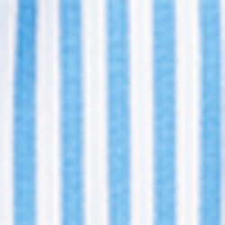 Blue/White Multi