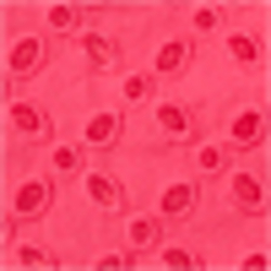 Ultra Pink