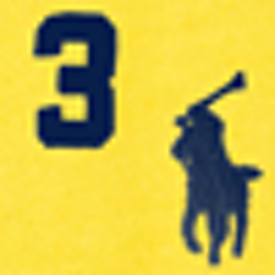 Tournament Yellow
