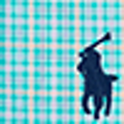 Teal/Navy Multi