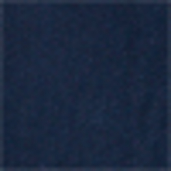 Spring Navy