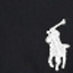 Polo Black