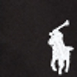 Polo Black