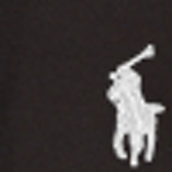 Polo Black
