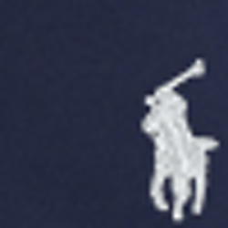 French Navy