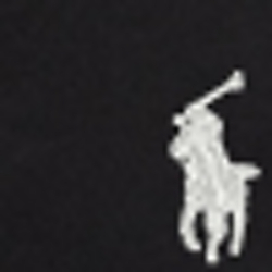 Polo Black