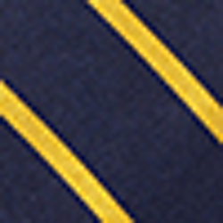 Navy/Gold