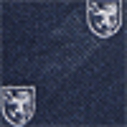 Navy/White