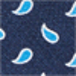 Navy/Blue