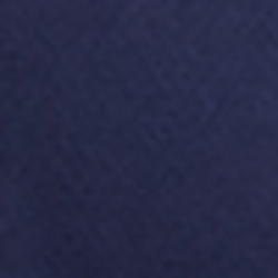 French Navy