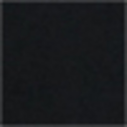 Polo Black