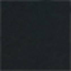 Polo Black