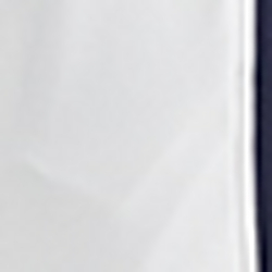 French Navy