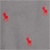 Combat Grey/Rl2000 Red