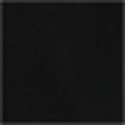 Polo Black