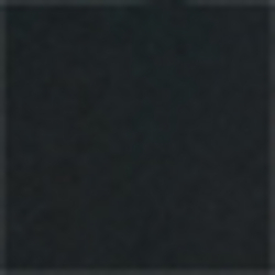 Polo Black