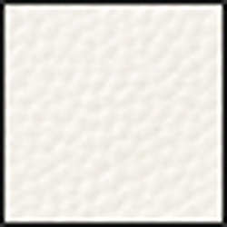 Eggshell