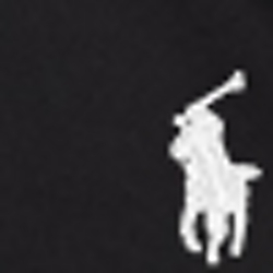 Polo Black