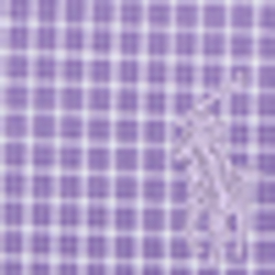 Dark Orchid/White