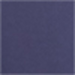 French Navy