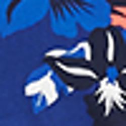 Poster Tropical