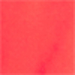 Coral Glow