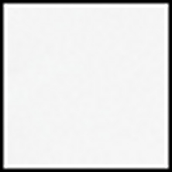 PURE WHITE/POLO BLACK