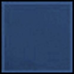 Polo Navy