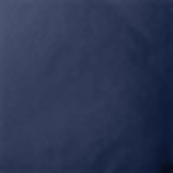 Polo Navy